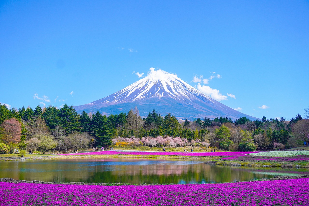 Nearby Attractions​
